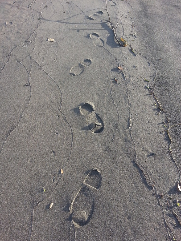 a walk on the beach - Nov 2014