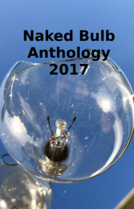 Naked Bulb Anth cover 2017